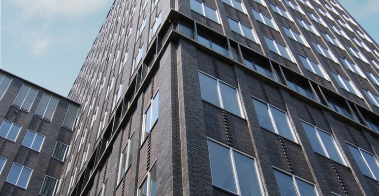 A new GRI Biodiversity Standard will help ensure accountability on impacts to build back Biodiversity