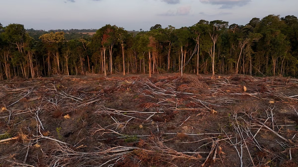 EU to delay anti-deforestation law by another year